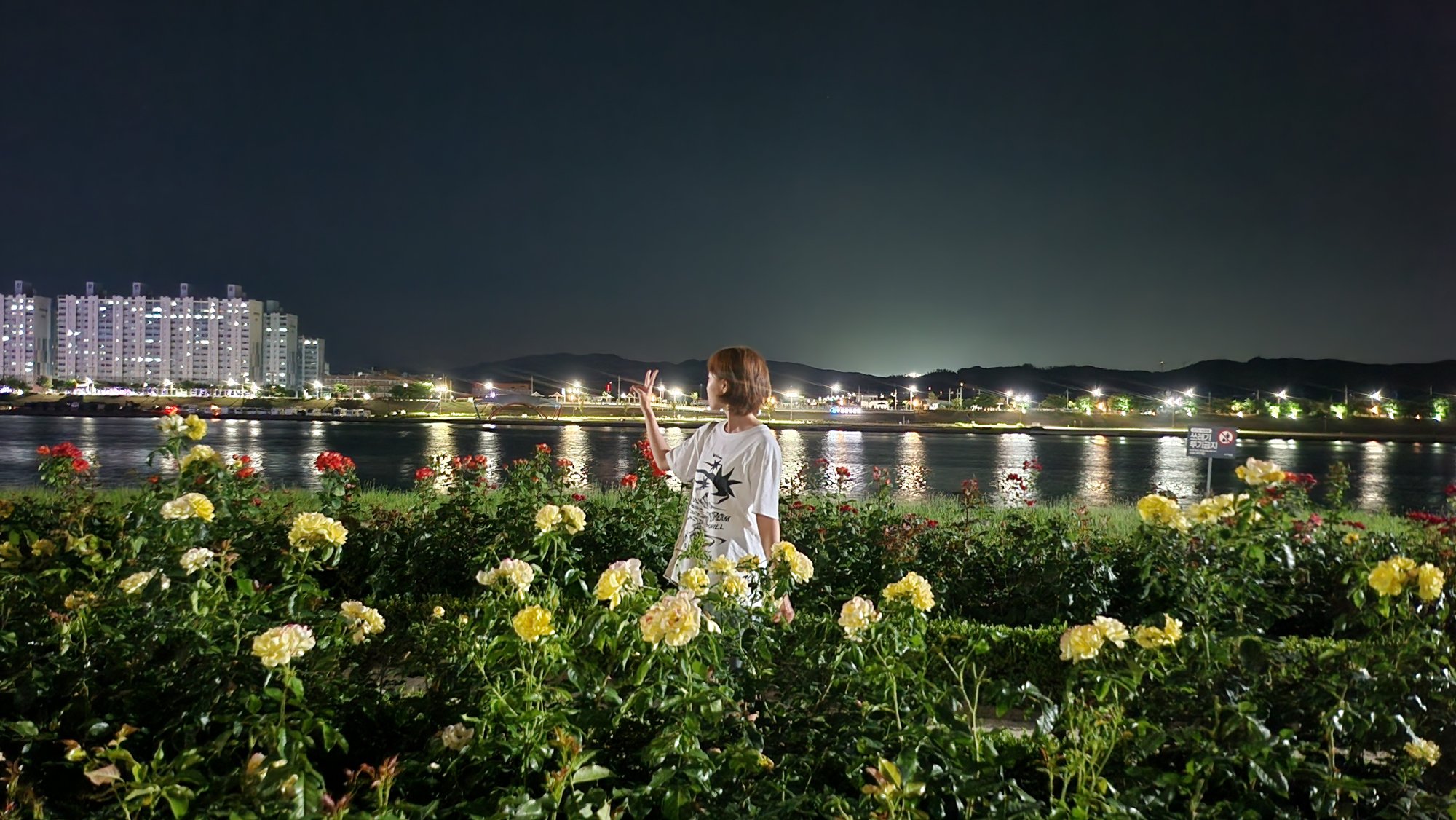 Rose garden by the Hyeongsan River, Pohang